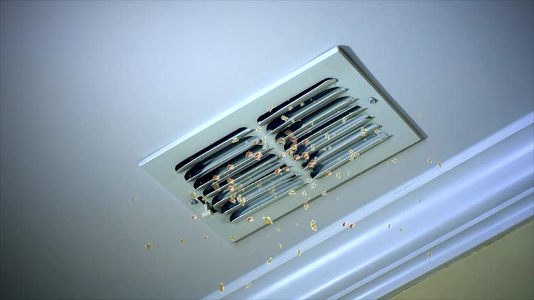 Best Affordable HVAC Duct Cleaning  in Rose Lodge, OR